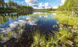 Wetlands