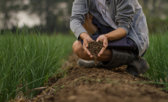 agriculture