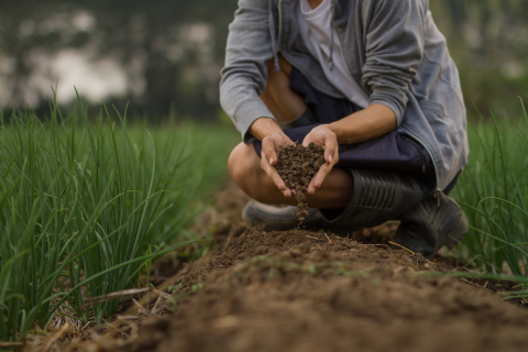 agriculture