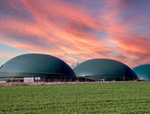 biogas