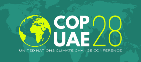 COP 28